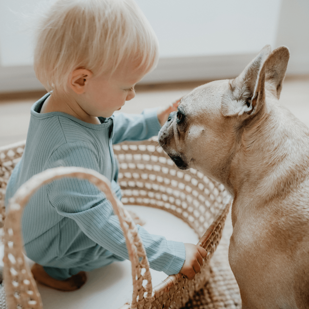 Pigiama con bordi elastici | Essential Menta