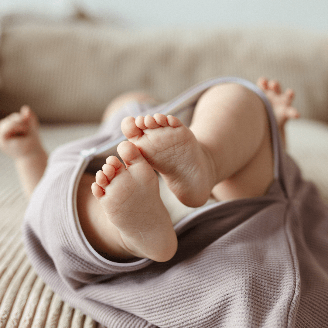 Sacco nanna 1.0 TOG | Essential Berry