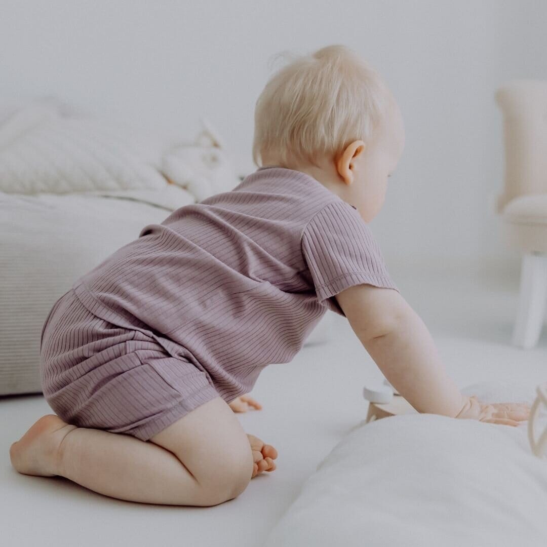 Pigiama corto 2 pezzi | Essential Berry