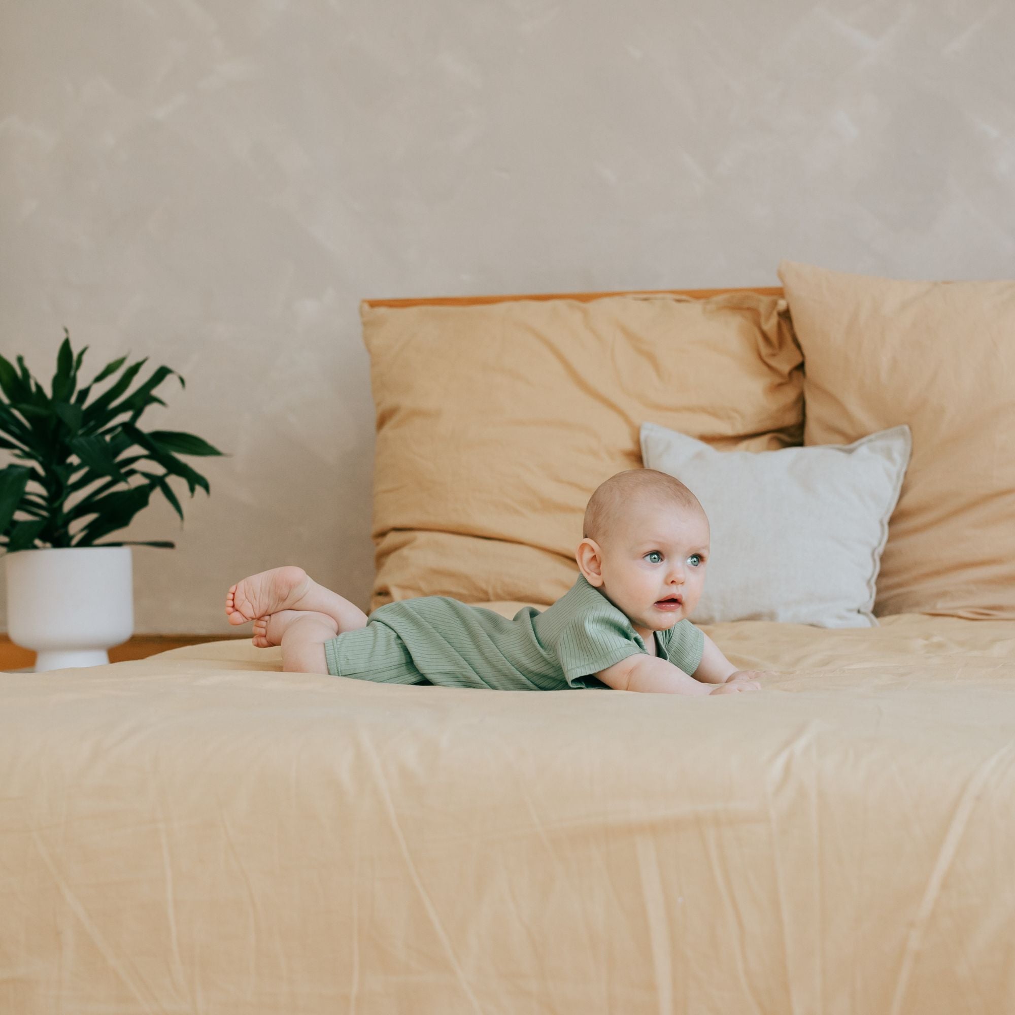 Pigiama corto 1 pezzo | Essential Verde