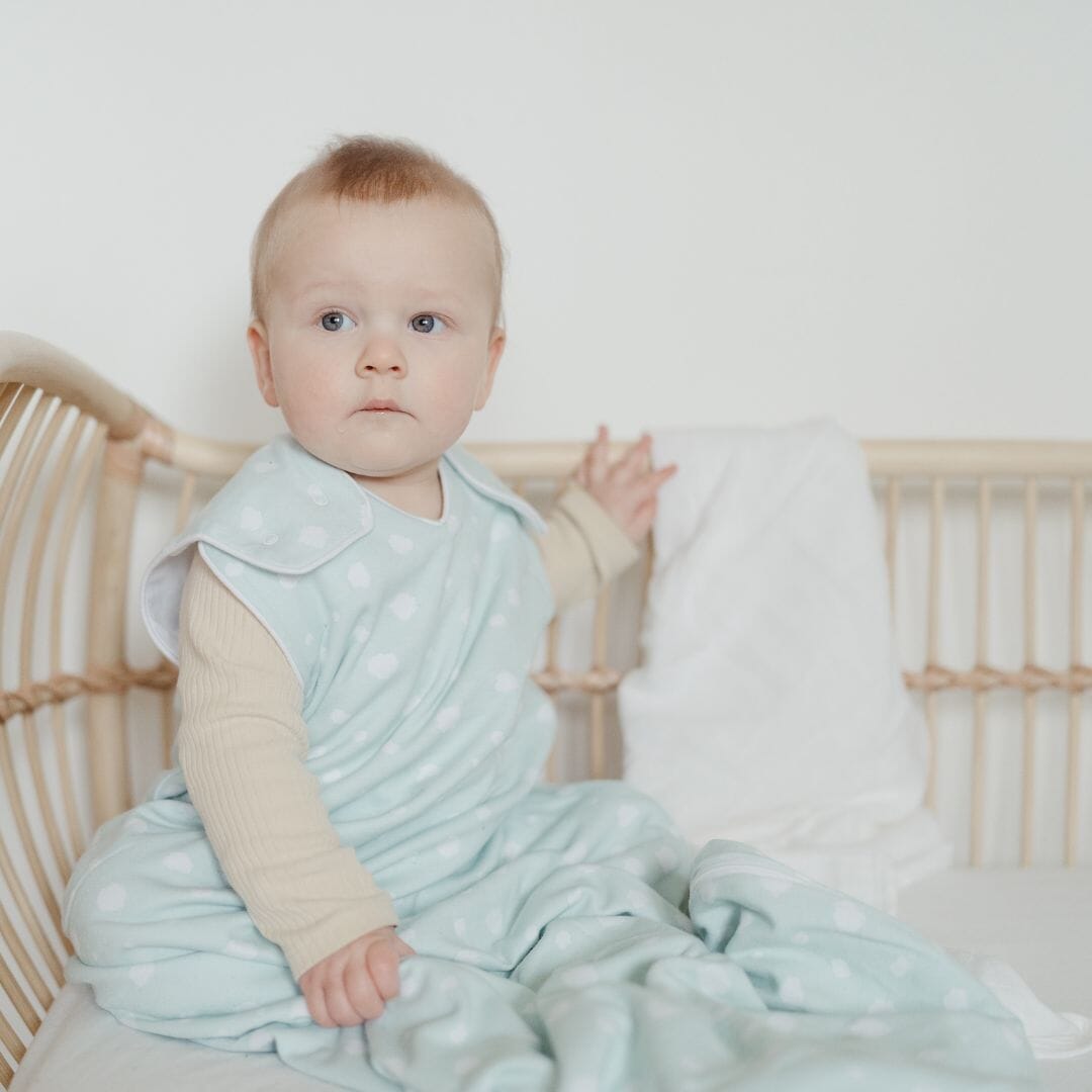 SACCO NANNA BEMINI 12-24 mesi in cotone organico TOG 1 SACCO NANNA BEMINI 12-24 mesi in cotone organico TOG 1