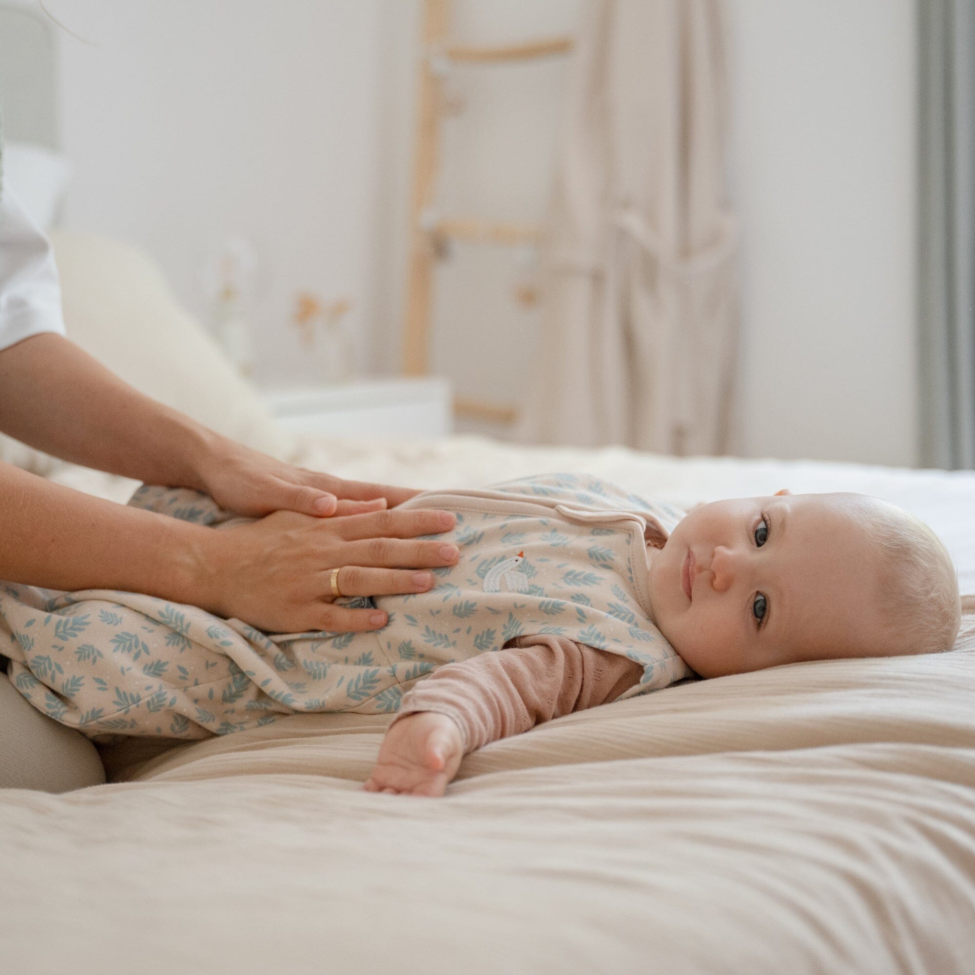 Sacco nanna 1.0 TOG | Ucello
