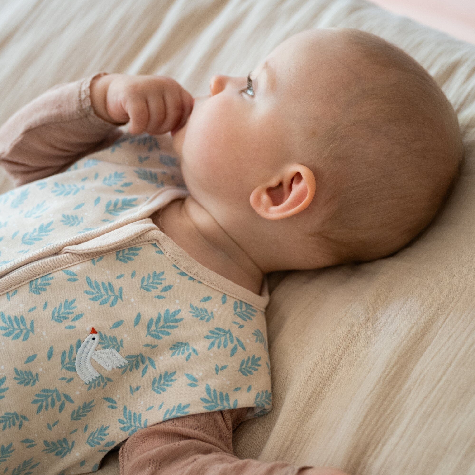 Sacco nanna 1.0 TOG | Ucello