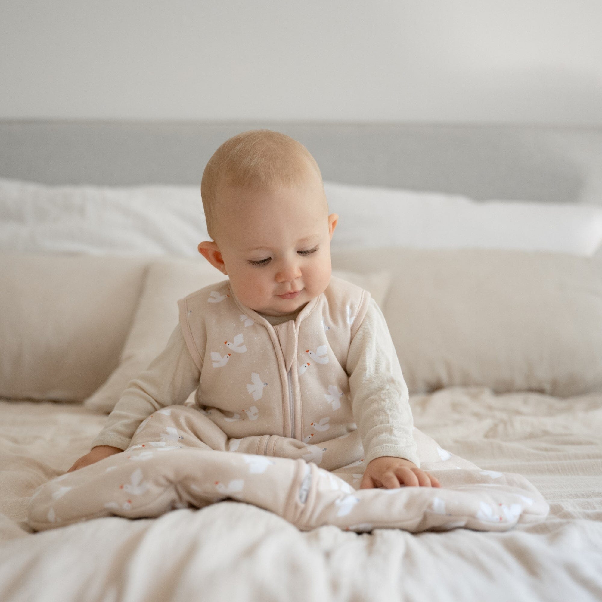 Sacco nanna 2.5 TOG | Ucello