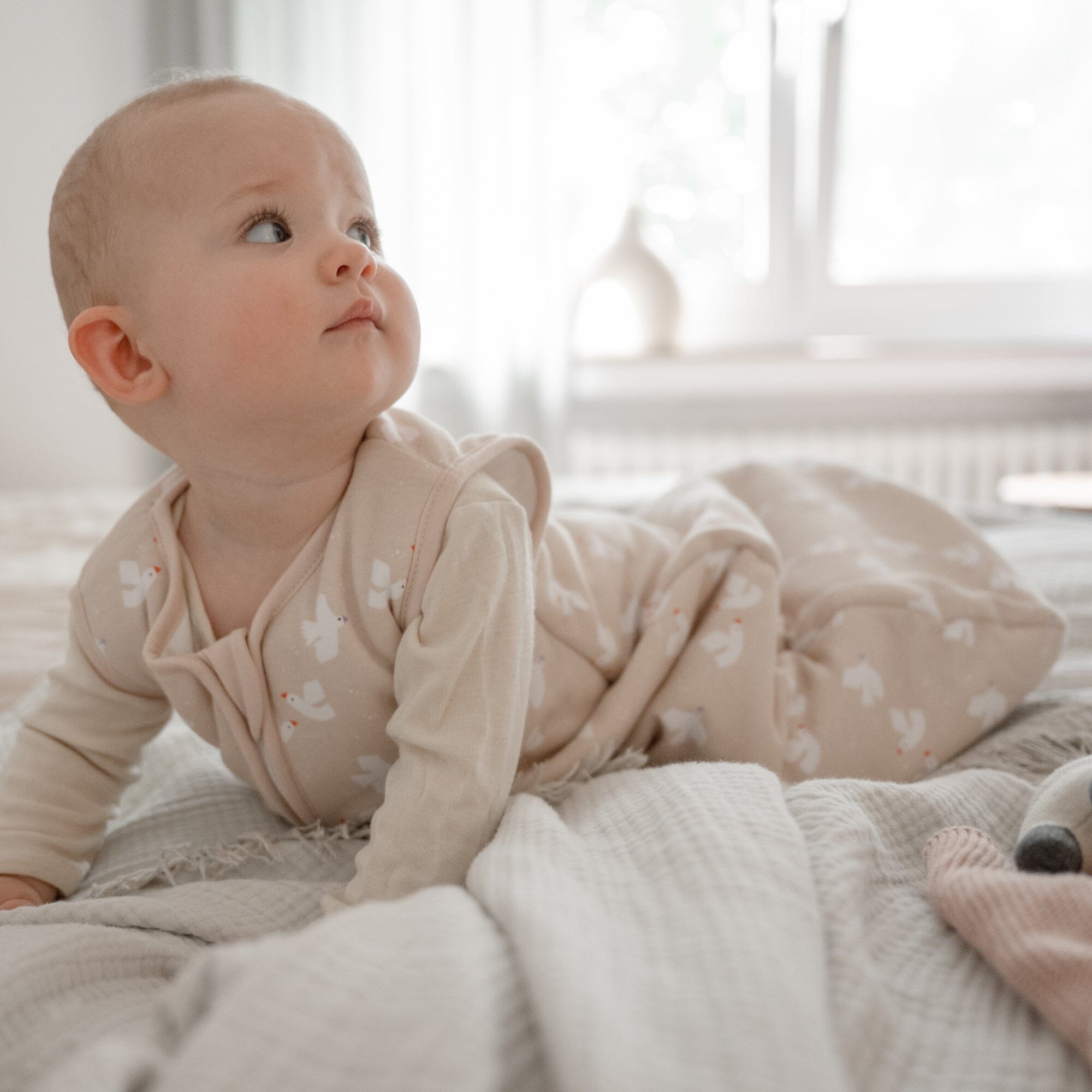 Sacco nanna 2.5 TOG | Ucello